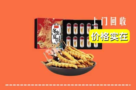 石家庄平山县回收虫草